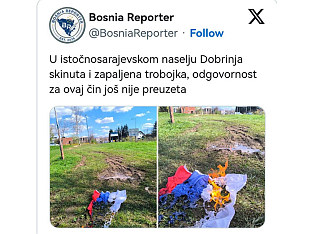 BURNING OF SERBIAN FLAG UNACCEPTABLE, DEMANDS FOR URGENT ASSEMBLY SESSION