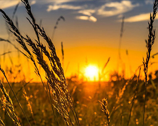 СУТРА СУНЧАНО И ТОПЛО