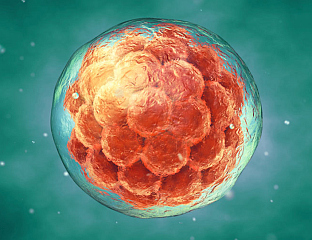 ЖЕНА СА ТРИ СМРТОНОСНЕ БОЛЕСТИ ПОТПУНО ОЗДРАВИЛА НАКОН РЕВОЛУЦИОНАРНЕ ТЕРАПИЈЕ