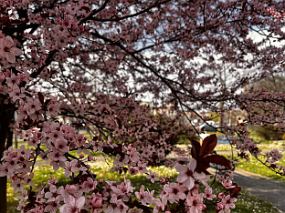 ПОСТЕПЕНО НАОБЛАЧЕЊЕ СА МЈЕСТИМИЧНО СЛАБОМ КИШОМ