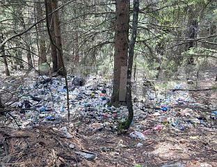 ДИВЉЕ ДЕПОНИЈЕ УГРОЖАВАЈУ ПРИРОДУ