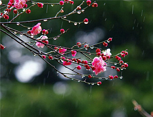 СУТРА ПРОМЈЕНЉИВО УЗ КИШУ, НА СЈЕВЕРУ СУВО И СУНЧАНО