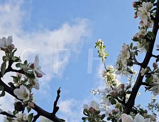 СУТРА У ПРВОМ ДИЈЕЛУ ДАНА СУНЧАНО И ТОПЛО