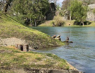 КАПОВИЋ СОЛОМУН: СЈЕЧА СТАБАЛА НА ОБАЛИ ВРБАСА НЕДОПУСТИВА, ЗЕЛЕНИЛО У ГРАДУ ДЕВАСТИРАНО