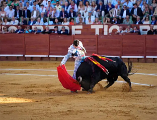 ТЕШКО ПОВРИЈЕЂЕН ТОРЕАДОР ПРИЛИКОМ БОРБЕ СА БИКОВИМА