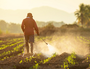 ЕКСТРЕМНЕ ВРУЋИНЕ УГРОЖАВАЈУ ПРОИЗВОДЊУ ХРАНЕ