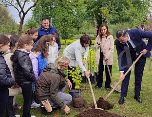 ВИПОТНИК ПОСАДИО ЖУТУ БУКВУ, ПРВО ЗАШТИЋЕНО ДРВО У СРПСКОЈ