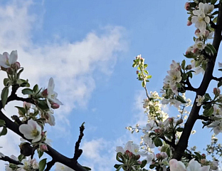 СУТРА СУНЧАНО И ТОПЛИЈЕ, АЛИ ВЈЕТРОВИТО