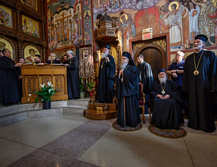 САУЧЕШЋЕ И ДУХОВНА ПОДРШКА ДОДИКУ ОД СРПСКЕ ДИЈАСПОРЕ И СВЕШТЕНСТВА СПЦ