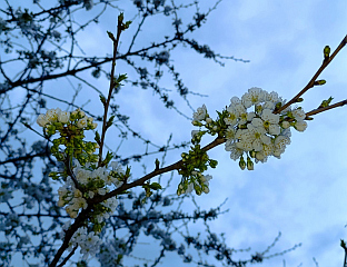 ПОЧЕТКОМ СЕДМИЦЕ ПРОМЈЕНЉИВО ВРИЈЕМЕ