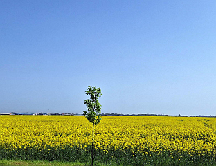 ЗА 1. МАЈ ТОКОМ ДАНА ПРЕТЕЖНО СУНЧАНО