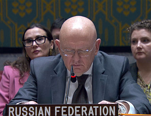 NEBENZYA URGES HAGUE MECHANISM TO RELEASE RATKO MLADIĆ