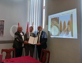 КУКУРУЗ КЛЕЧАК ДОБИО ЦЕРТИФИКАТ О ЗАШТИТИ ОЗНАКЕ ПОРИЈЕКЛА