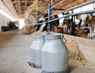 ИСПЛАЋЕНО ВИШЕ ОД ТРИ МИЛИОНА КМ ПРЕМИЈЕ ЗА МЛИЈЕКО