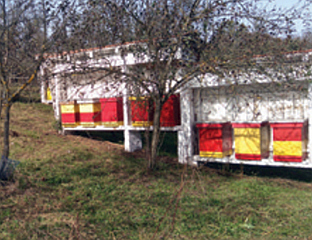 РОМАНИЈСКИ МЕД ЗАШТИЋЕН ОЗНАКОМ ПОРИЈЕКЛА