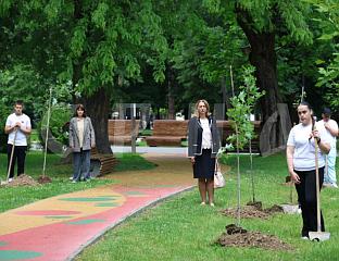 12 BABIES ALLEY PLANTED - ETERNAL REMINDER OF BANJA LUKA BABIES TRAGEDY