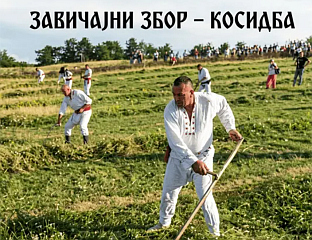 У БУКОВЦУ КОД НОВОГ САДА ТРАДИЦИОНАЛНА КОСИДБА
