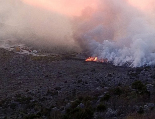 ВЕЛИКИ ПОЖАР НА ОСТРВУ ВИС, ГОРИ БОРОВА ШУМА