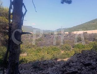 ЛОКАЛИЗОВАН ПОЖАР ИСПОД БРДА ЦРКВИНА