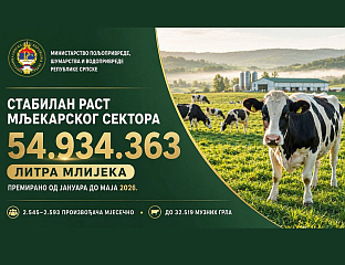 ОД ЈАНУАРА ДО МАЈА ПРЕМИРАНО ГОТОВО 55 МИЛИОНА ЛИТАРА МЛИЈЕКА