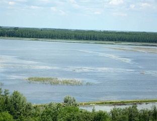 STATE OF EMERGENCY DECLARED IN SOMBOR, KULA AND VRBAS DUE TO LOW DANUBE WATER LEVELS