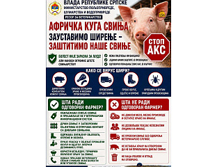 АФРИЧКА КУГА СВИЊА МОЖЕ СЕ ЗАУСТАВИТИ САМО ЗАЈЕДНИЧКОМ ОДГОВОРНОШЋУ