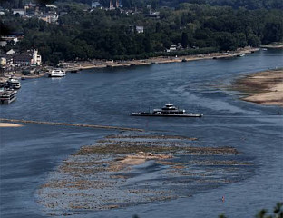 ВОДОСТАЈ РАЈНЕ БЛАГО ПОРАСТАО
