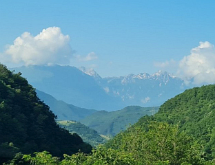 ПОСЛИЈЕ ПОДНЕ ЛОКАЛНИ ПЉУСКОВИ