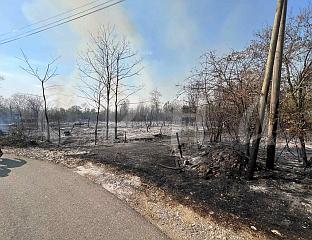 HUMAN FACTOR CAUSES 90 PERCENT OF WILDFIRES