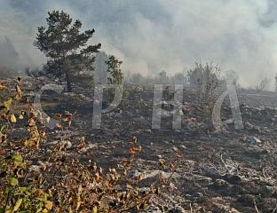 МОЛЕ СЕ ПОСЈЕТИОЦИ ДА НЕ ИДУ У ПРАВЦУ ПОЖАРА НА ТРЕБЕВИЋУ