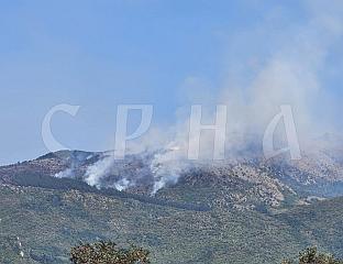 VUKADIN: TWO FIRES ON TREBEVIĆ HAVE FLARED UP AGAIN