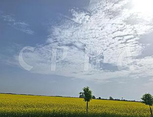 ДАНАС СУНЧАНО, УЗ МАЛУ ОБЛАЧНОСТ
