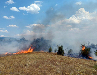 РУНИЋ: ВАТРА ПОД КОНТРОЛОМ И НЕ ПРИЈЕТИ КУЋАМА