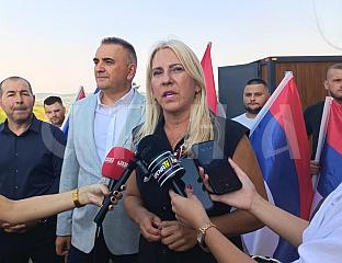 ЦВИЈАНОВИЋ: НИЈЕ НА ХЕЛЕЗУ ДА ОДЛУЧУЈЕ КАКО ЋЕ ИЗГЛЕДАТИ БиХ