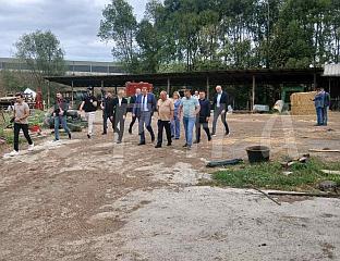 ДОДИК У ШТРПЦИМА: ПОМОЋИ ПРОИЗВОЂАЧИМА ПОПУТ "ФАРМЕ БАБИЋ"