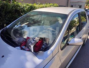 РУЖЕ ЉУБАВИ НА ВЈЕТРОБРАНУ АУТОМОБИЛА