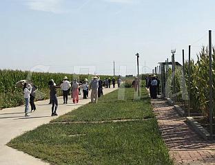 ДОНГ: ЗА ВЕЋЕ ПРИНОСЕ НЕМА УНИВЕРЗАЛНОГ РЈЕШЕЊА