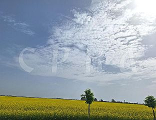ДАНАС СУНЧАНО И ТОПЛО