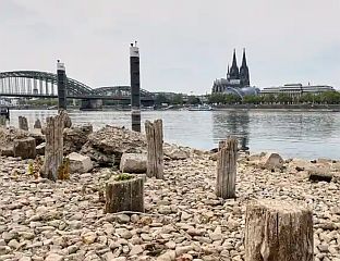 ВОДОСТАЈ РАЈНЕ НА НОВОМ ИСТОРИЈСКОМ МИНИМУМУ