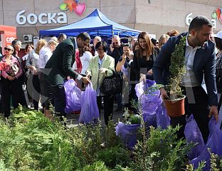 ГРАЂАНИМА ПОДИЈЕЉЕНО 500 САДНИЦА ЧЕМПРЕСА