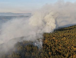 ГОРЕ ШУМА И НИСКО РАСTИЊЕ ИЗНАД TИЧИЋА, ТЕРЕН НЕПРИСТУПАЧАН