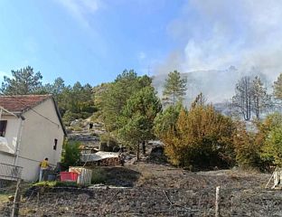 ПОЖАР У ГРАНЧАРЕВУ ПОД КОНТРОЛОМ