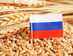 БАЛТИЧКЕ ДРЖАВЕ ТРАЖЕ ЗАБРАНУ ИЗВОЗА РУСКИХ ЖИТАРИЦА