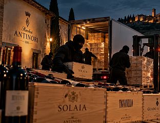 ИЗ ЈЕДНЕ ОД НАЈПРЕСТИЖНИЈИХ ВИНАРИЈА УКРАДЕНО 30.000 БОЦА ВИНА