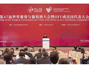 47TH WORLD CONGRESS OF VINE AND WINE
