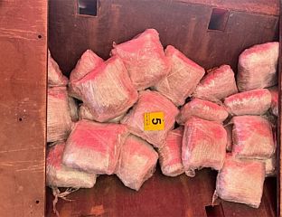 УХАПШЕНО ЛИЦЕ ИЗ КОЊИЦА, ПРОНАЂЕНО ОКО 100 КИЛОГРАМА ДРОГЕ
