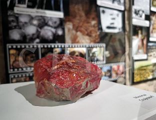 СВЕЧАНО ОТВОРЕНА ИЗЛОЖБА "КАМЕНИ ЦВЕТ ИЗ ПРЕБИЛОВАЦА"