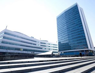 СУТРА О ГЛАСАЊУ ДРЖАВЉАНА СРБИЈЕ У БиХ