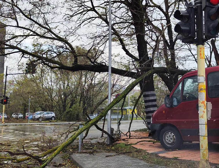 СОФИЈА, 19. НОВЕМБРА /СРНА/ - Двије особе погинуле су данас у олујном невмерену које је захватило Бугарску и пореметили снабдијевање електричном енергијом у градовима и селима, саопштили су данас званичници.