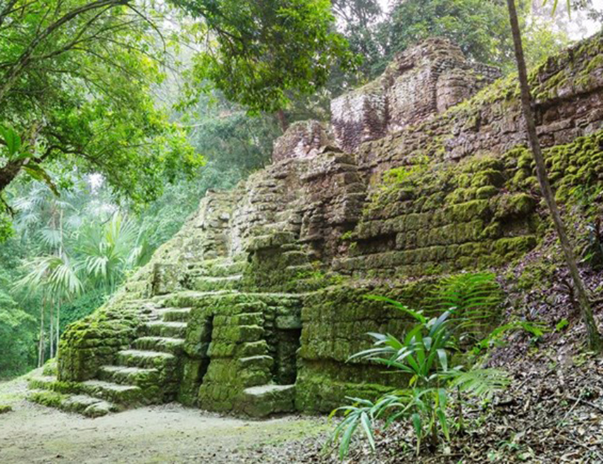 МЕКСИКО СИТИ, 29. ОКТОБРА /СРНА/ - Огроман град народа Маја откривен је више вијекова након што је нестао под крошњама џунгле у Мексику, а археолози су пронашли пирамиде, спортске терене, насипе који повезују квартове и амфитеатре у југоисточној држави Кампече, јавља Би-Би-Си.